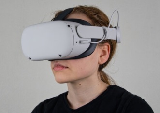 Ijsbeer hoofdzakelijk tegenkomen Wat zijn de beste all-in-one VR brillen (standalone VR-bril)?